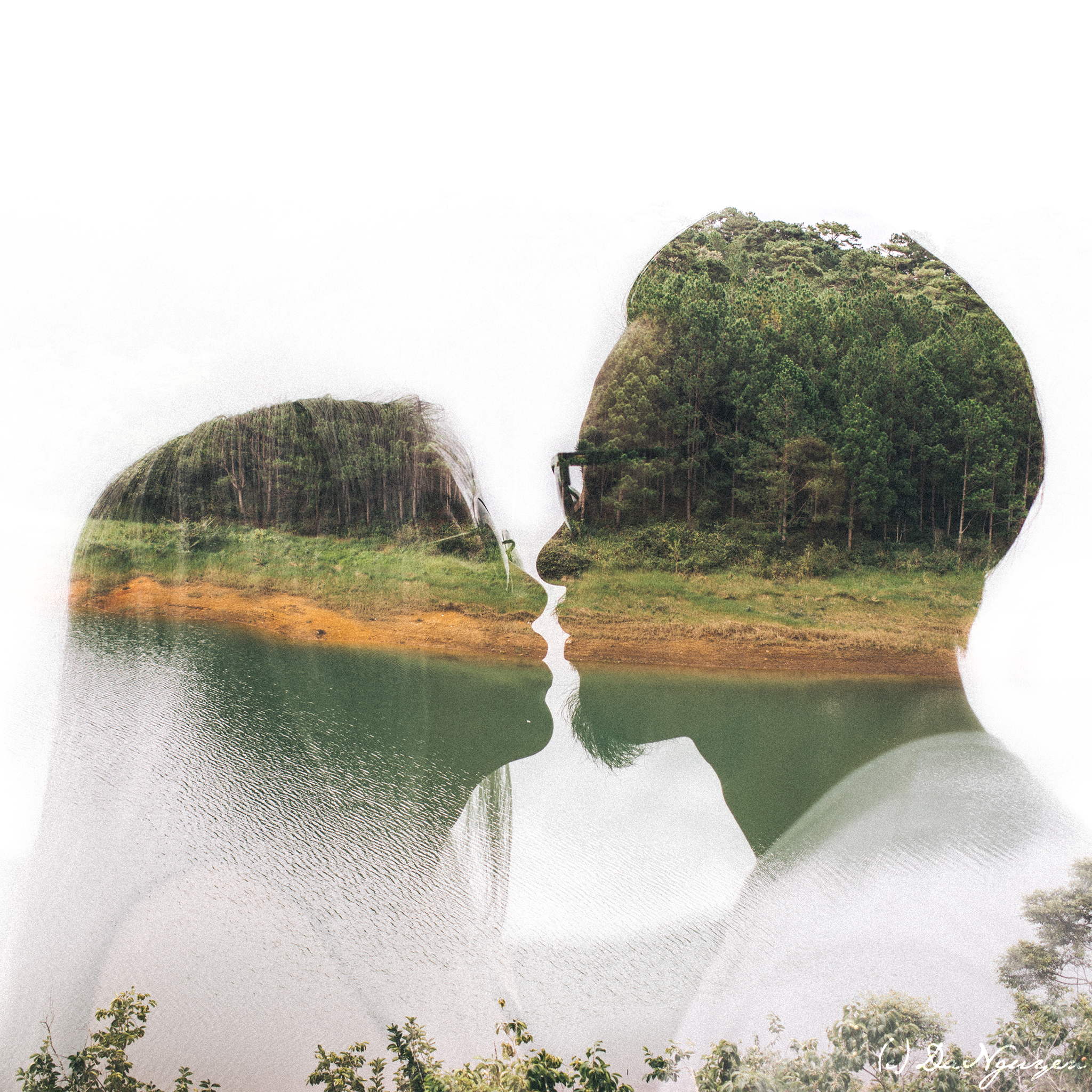 Indie Wedding avatar